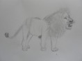 /album/fotos/img1470763658-1-jpeg/